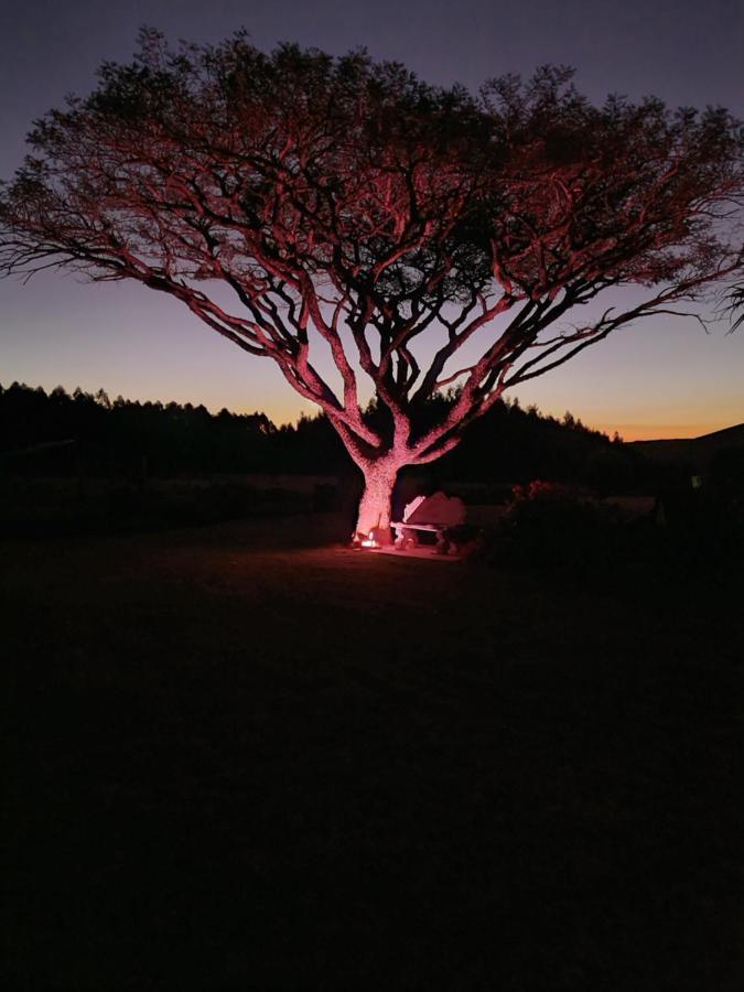 Forest Hill Country Lodge Piet Retief Buitenkant foto