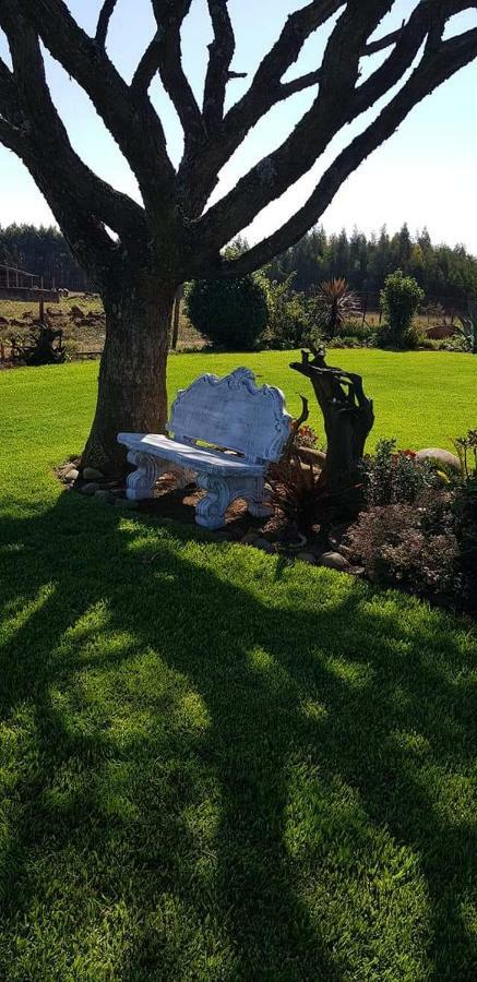 Forest Hill Country Lodge Piet Retief Buitenkant foto